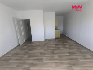 Pronájem bytu 1+kk, Ústí nad Labem - Krásné Březno, Dr. Horákové, 32 m2