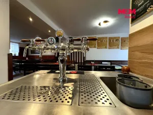 Prodej restaurace, Velké Žernoseky, 438 m2