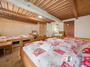 Prodej chalupy, Mezilečí, 163 m2