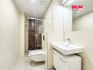 Pronájem bytu 1+kk, Praha - Nové Město, Petrská, 32 m2