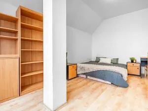 Prodej bytu 4+kk, Brno, Vranovská, 130 m2