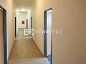 Pronájem kanceláře, Brno, Pražská, 37 m2