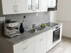 Prodej bytu 3+kk, Roudnice nad Labem, Hornická, 55 m2