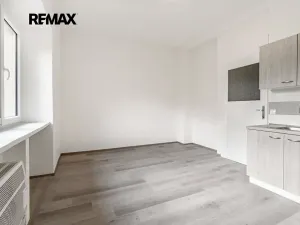 Pronájem bytu 1+kk, Praha - Břevnov, Patočkova, 21 m2