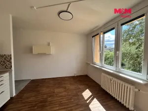 Pronájem bytu 1+1, Ústí nad Labem - Severní Terasa, Větrná, 35 m2