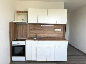 Pronájem bytu 1+1, Písek, třída Přátelství, 36 m2