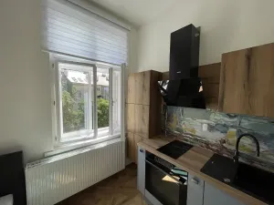 Pronájem bytu 1+kk, Praha, Legerova, 25 m2