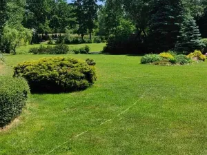 Prodej chalupy, Rožmitál pod Třemšínem, 150 m2
