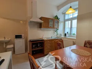Prodej obchodního prostoru, Kašperské Hory, Náměstí, 161 m2