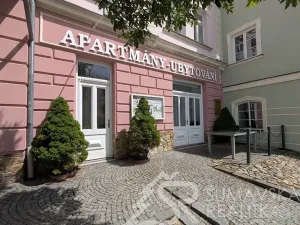 Prodej obchodního prostoru, Kašperské Hory, Náměstí, 161 m2