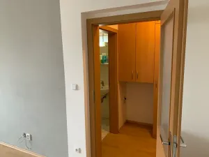 Pronájem bytu 1+1, Brno, Lučiny, 30 m2