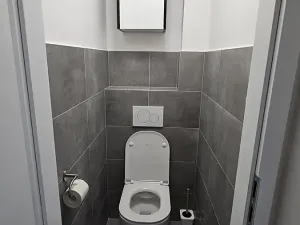 Pronájem bytu 2+1, Brno, Cejl, 53 m2