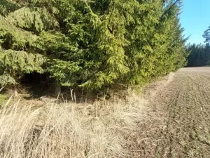 Prodej lesa, Útěchovičky, 360 m2