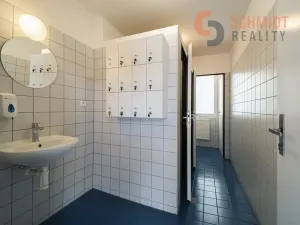 Pronájem kanceláře, Břeclav, Kančí obora, 30 m2