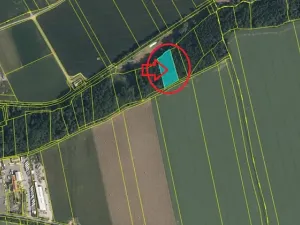 Prodej podílu lesa, Dolany, 2292 m2