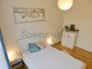 Pronájem bytu 2+kk, Plzeň, Hřímalého, 33 m2