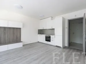 Pronájem bytu 1+kk, Praha - Záběhlice, Klapálkova, 31 m2