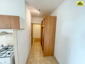 Prodej bytu 1+1, Tábor, Moskevská, 44 m2