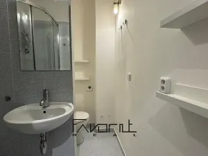 Pronájem bytu 1+kk, Ostrava, 30. dubna, 35 m2