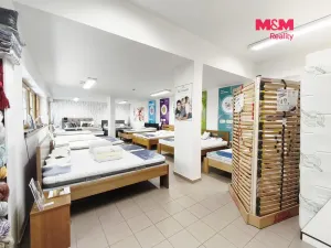 Pronájem obchodního prostoru, Praha, Drahobejlova, 172 m2
