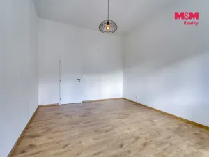 Pronájem bytu 2+kk, Plzeň - Jižní Předměstí, Kardinála Berana, 60 m2