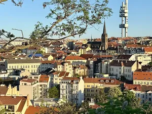 Prodej bytu 2+kk, Praha - Žižkov, Dalimilova, 50 m2