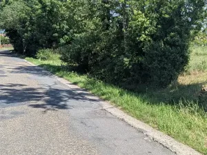 Prodej pozemku pro bydlení, Rokycany, Tymákovská, 12831 m2