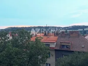 Pronájem bytu 2+1, Praha - Podolí, Pravá, 68 m2