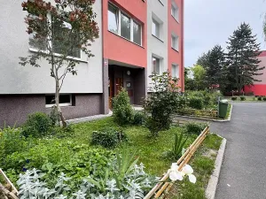 Pronájem bytu 3+1, Jirkov, K. Marxe, 62 m2