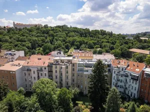 Prodej bytu 1+1, Brno, Údolní, 48 m2