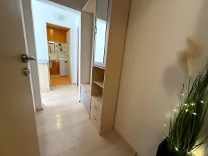 Pronájem bytu 2+1, Hrušovany u Brna, Sídliště, 58 m2