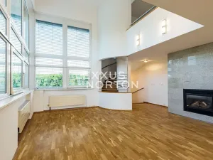 Pronájem rodinného domu, Praha - Braník, U družstva Práce, 400 m2