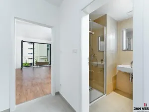 Prodej bytu 1+kk, Plzeň, Železná, 32 m2