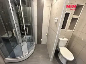 Pronájem bytu 2+1, Ústí nad Labem, Jana Zajíce, 48 m2