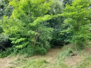 Prodej pozemku pro bydlení, Milešov, 2790 m2
