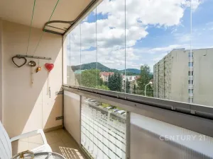 Pronájem bytu 3+1, Děčín, Dvořákova, 75 m2