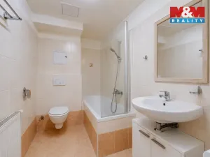 Pronájem bytu 2+kk, Plzeň - Jižní Předměstí, Karlova, 45 m2