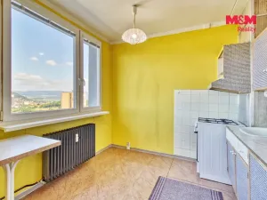 Prodej bytu 1+1, Most, Javorová, 35 m2