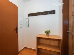 Pronájem bytu 1+kk, Syrovice, 33 m2