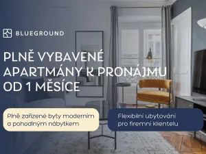 Pronájem bytu 1+kk, Praha - Žižkov, Olšanská, 35 m2