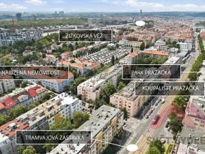 Pronájem bytu 1+kk, Praha - Žižkov, Biskupcova, 25 m2