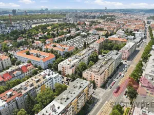 Pronájem bytu 1+kk, Praha - Žižkov, Biskupcova, 25 m2