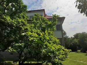 Prodej bytu 3+1, Průhonice, Říčanská, 171 m2