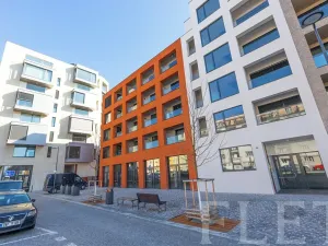 Pronájem bytu 1+kk, Praha - Žižkov, Jana Želivského, 33 m2