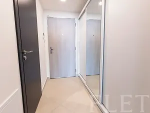 Pronájem bytu 1+kk, Praha - Žižkov, Jana Želivského, 33 m2