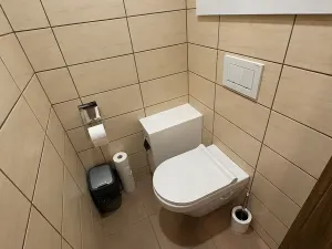 Prodej bytu 3+1, Hořice, Pod Lipou, 75 m2