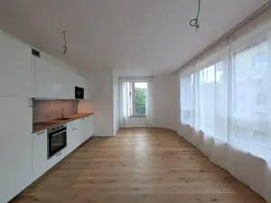 Pronájem bytu 1+kk, Praha - Radlice, U Komína, 34 m2