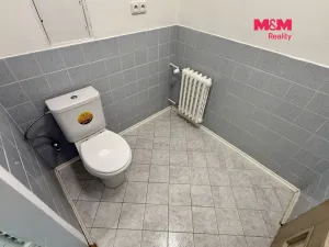 Pronájem bytu 2+1, Hobšovice - Skůry, 87 m2