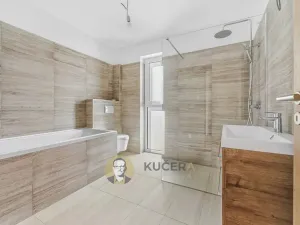 Prodej rodinného domu, Nemyslovice, 145 m2