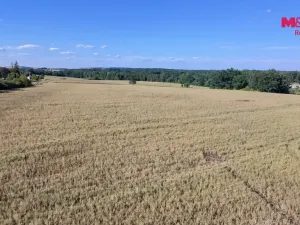 Prodej pozemku pro bydlení, Čimelice, 1030 m2